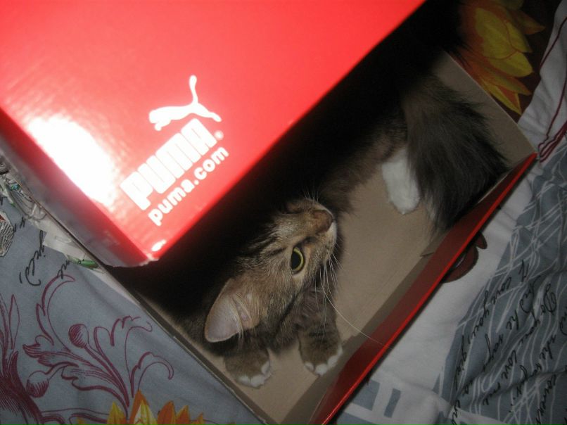 Катя Fr фотография #32