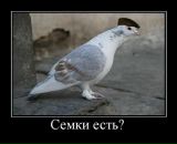 Сергій Ткаченко фотография #32 (источник - https://vk.com/id4558820)
