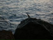 Славентій Петровіч фотография #43 (источник - https://vk.com/id59708477)