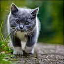 Діма Боднарюк фотография #9 (источник - https://vk.com/id74346201)