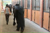 Фотография Афанасьевой Юлии