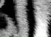 Иван Луценко фотография #17 (источник - https://vk.com/id18720890)