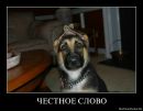 Назар Механік фотография #24 (источник - https://vk.com/id148504776)