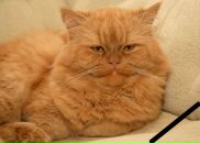 Фотография Фроловой Ольги