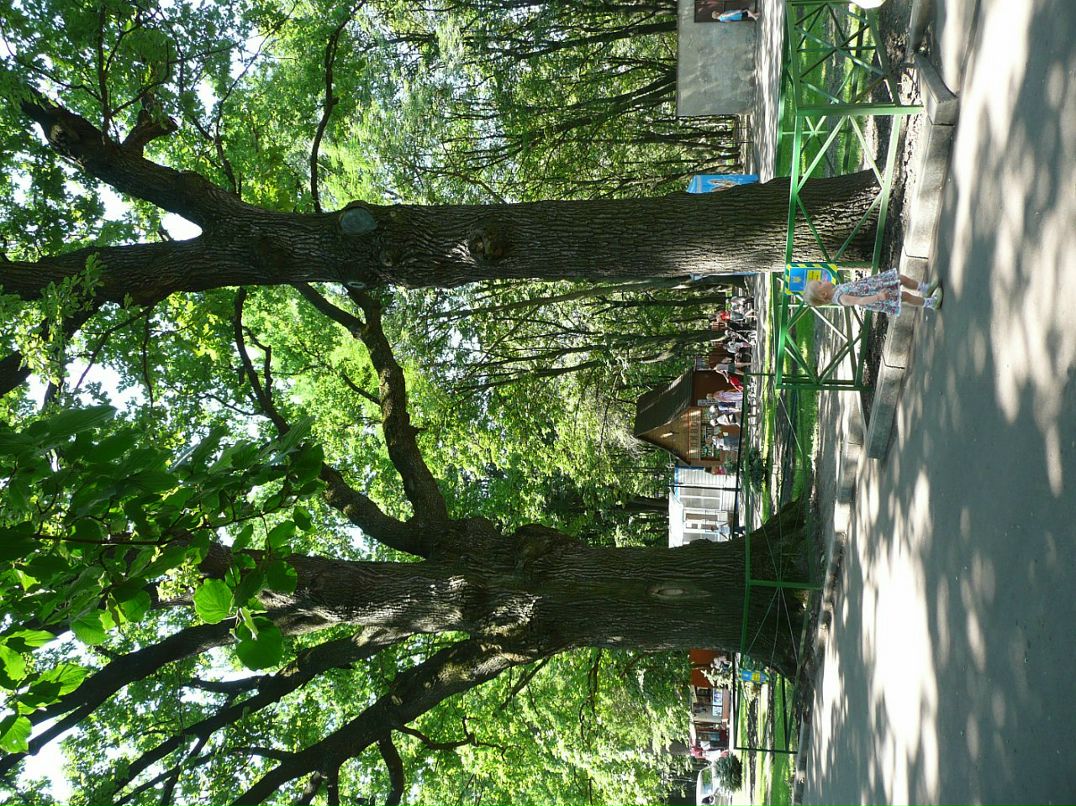 Виктор Нехаенко фотография #34