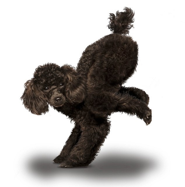 Евгений Душкин фотография #16