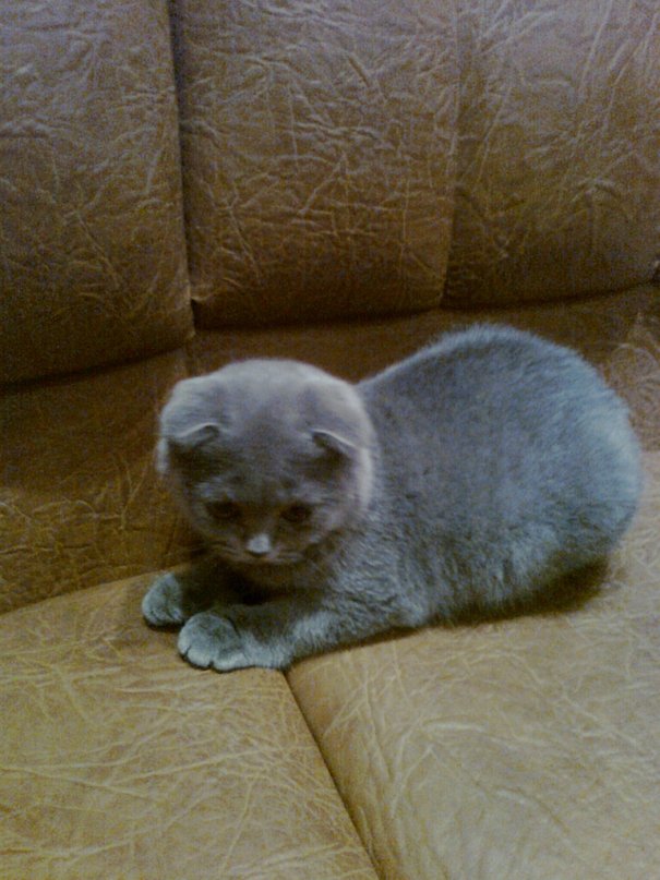 Марина Ермоченко фотография #11