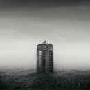 Фотография Ларина Андрея