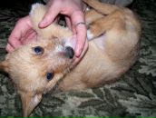 Іванов Сергій фотография #3 (источник - https://vk.com/id109699213)