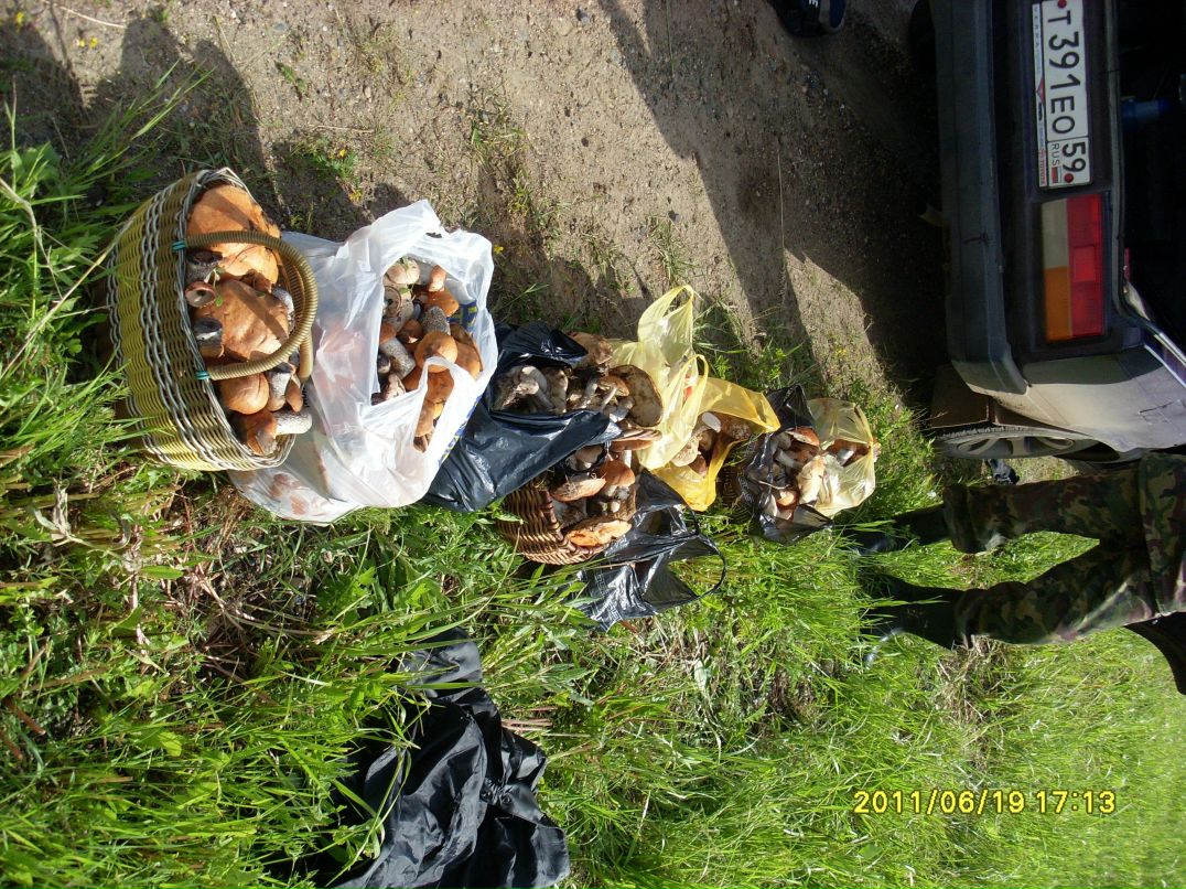 Стас Сушицкий фотография #4