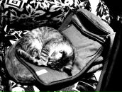 Сергій Дворник фотография #28 (источник - https://vk.com/id7279676)