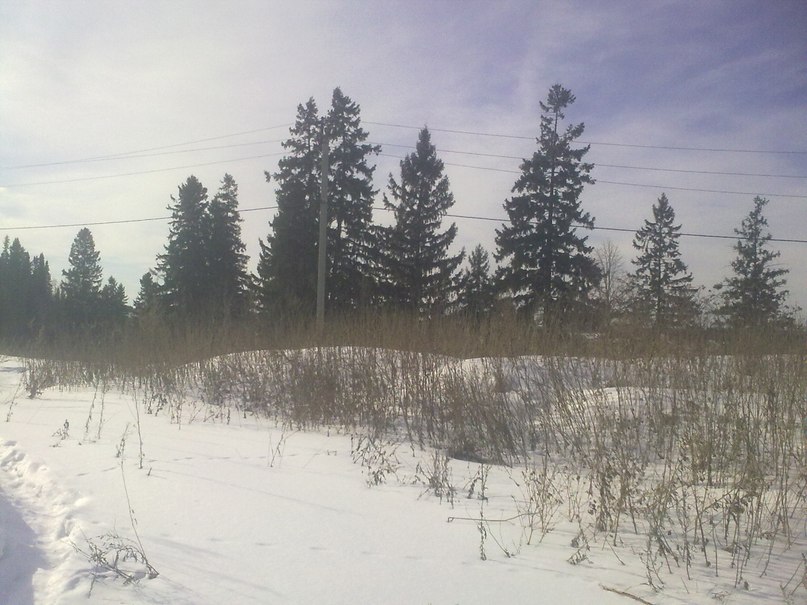 Антон Соценко фотография #3