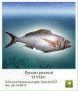 Андрій Орищак фотография #45 (источник - https://vk.com/id43615340)