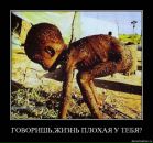 Олександр Кулініч фотография #19 (источник - https://vk.com/id55456883)