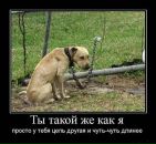 Олександр Кулініч фотография #26 (источник - https://vk.com/id55456883)
