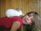 Фотография Бананахеммет Принцесы