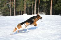 Фотография Смирнова Константина