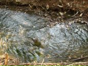 Вікторія Кучер фотография #6 (источник - https://vk.com/id3965617)