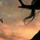 Владлєна Козачок фотография #11 (источник - https://vk.com/id98642620)