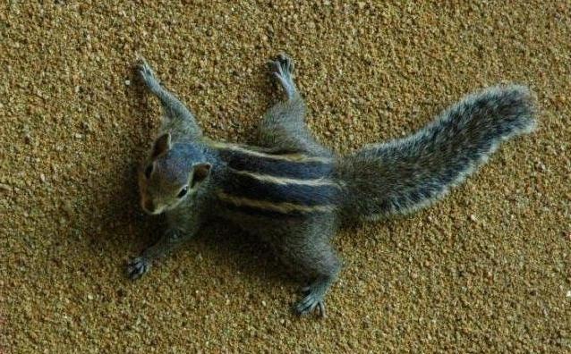 Михаил Горбачёв фотография #16