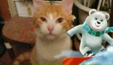 Фотография Пухов Дмитрий