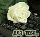 Юля Зінчук фотография #10 (источник - https://vk.com/id197543358)