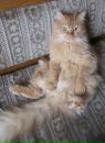 Фотография Жуковой Екатерины