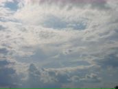 Фотография Milli Ms