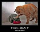 Фотография Тихомировой Веры