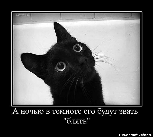 Сергей Нечкин фотография #29
