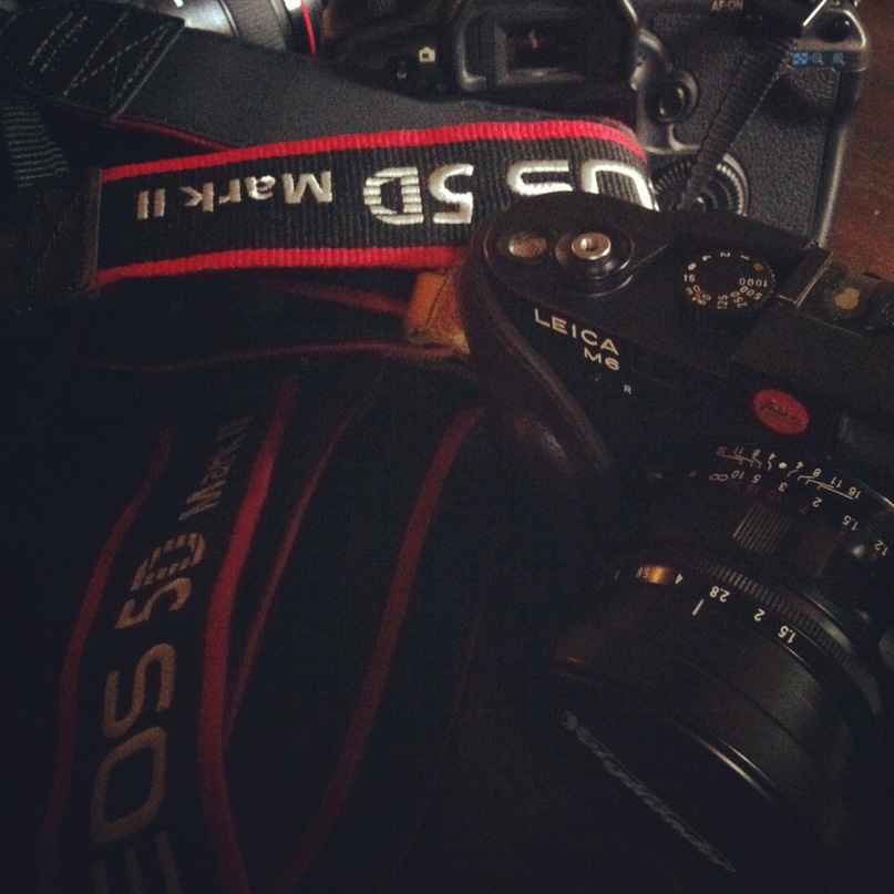 Sheng Han фотография #44