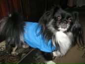 Влад Матвіїв фотография #28 (источник - https://vk.com/id56439505)