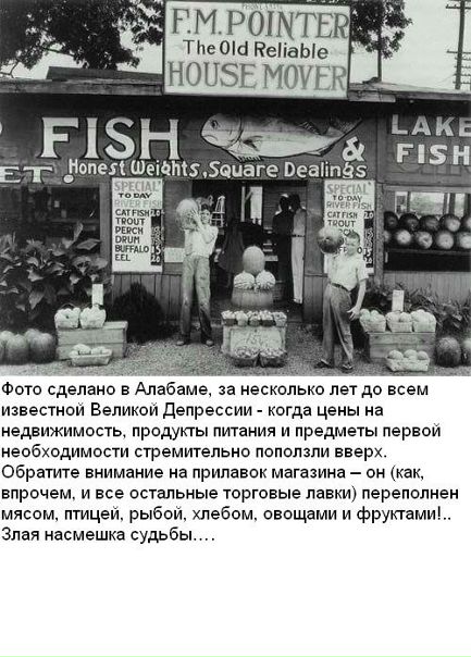 Евгений Орлов фото №39