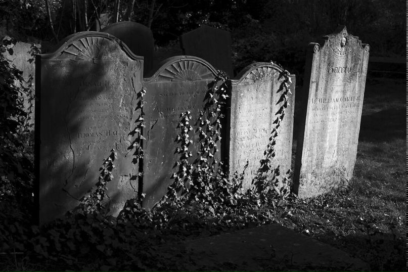 Ден Потипа фотография #18