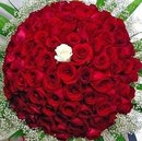 Volkan Sayın фотография #44 (источник - https://vk.com/id119938797)