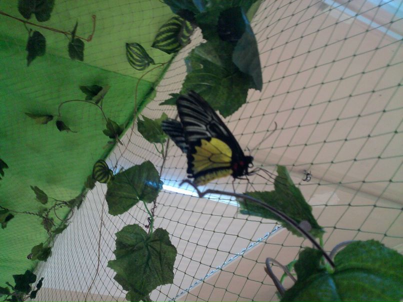 Катя Клименко фотография #19