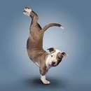 Вікторія Хруник фотография #45 (источник - https://vk.com/id88606663)