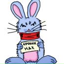 Фотография Анкиной Елены