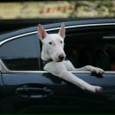 Фотография Моисеенко Николая