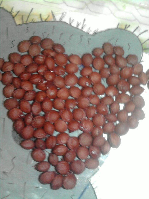 Чодура Иргит фотография #2