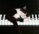 Лілія Чорна фотография #32 (источник - https://vk.com/id10420813)