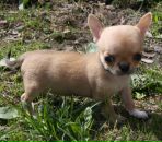 Фотография Павловой Елены