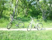 Фотография Красновой Насти