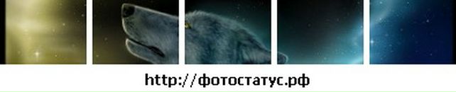 Вітя Добра фотография #11 (источник - https://vk.com/id72775417)