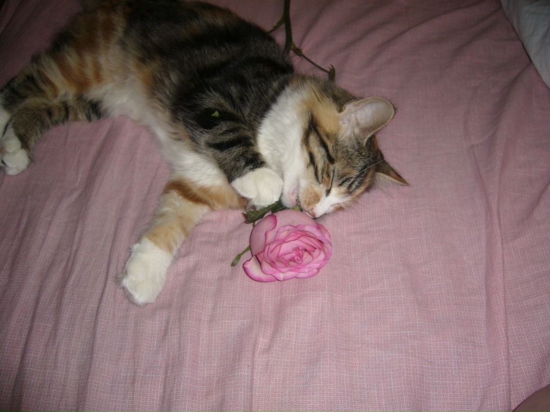 Сергей Шерстень фотография #19