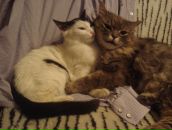 Фотография Байди Валери