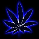 Фотография Квашнина Ивана