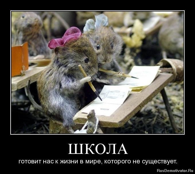 Дима Dsp фотография #9