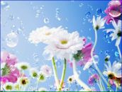 Софія Дубовик фотография #28 (источник - https://vk.com/id82776459)