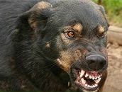 Александр Сененко фотография #18 (источник - https://vk.com/id92045453)